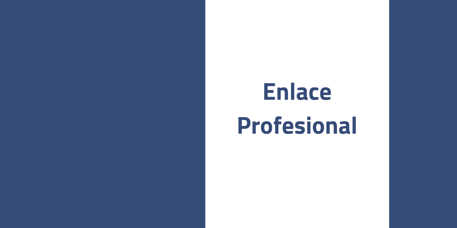 Enlace Profesional