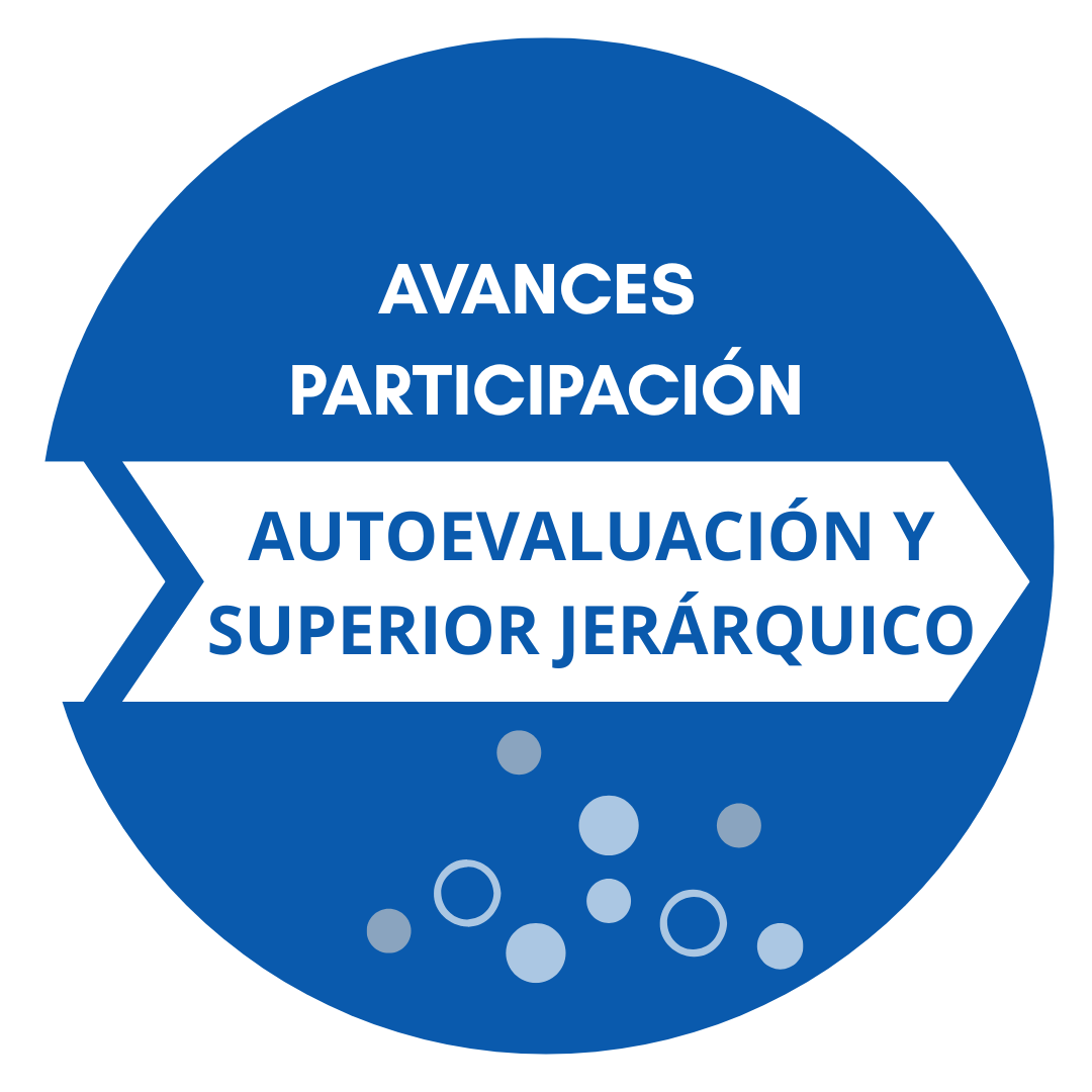 Avances de Participación de la Evaluación Académica